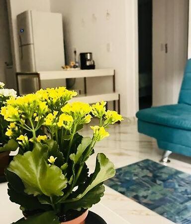 Apartamento No Andar Terreo Foz do Iguaçu Esterno foto